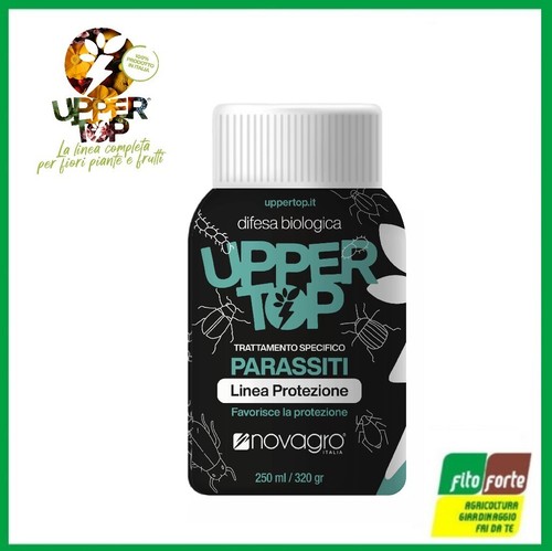 Parassiti upper top linea - upper,